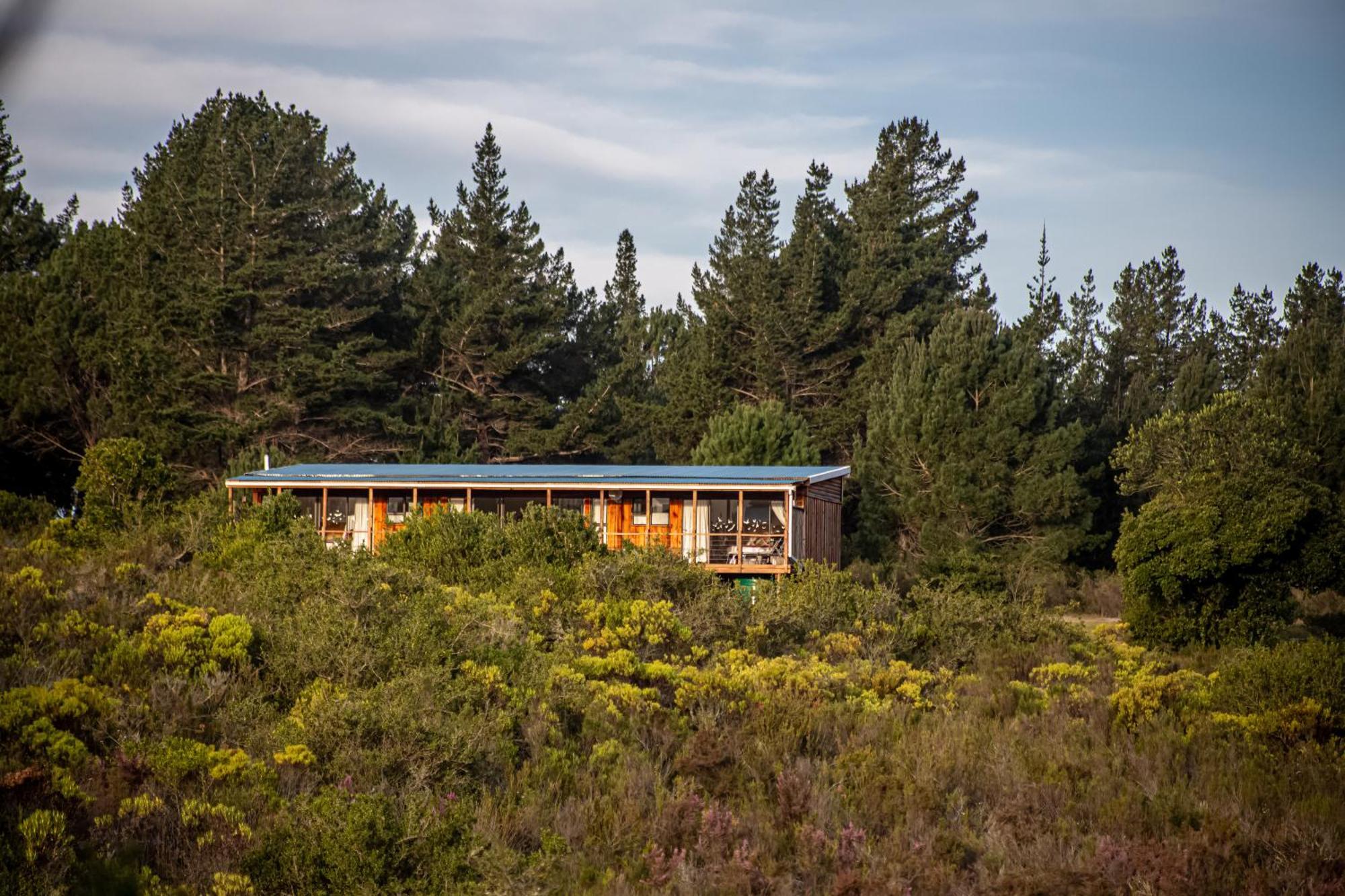 Equleni Guest Farm Hotel Sedgefield Kültér fotó