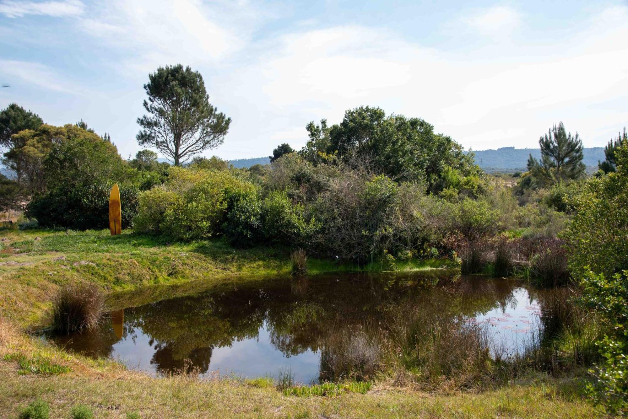Equleni Guest Farm Hotel Sedgefield Kültér fotó