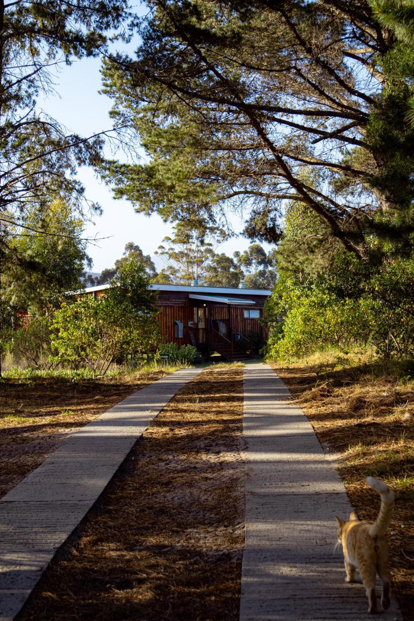 Equleni Guest Farm Hotel Sedgefield Kültér fotó